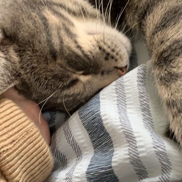 Meet your Posher, Riah - Picture 1 of 1